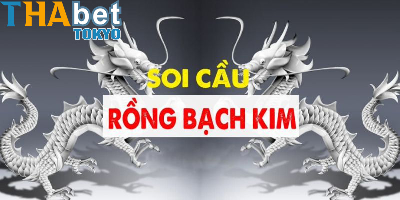 Giới thiệu về soi cầu Rồng Bạch Kim