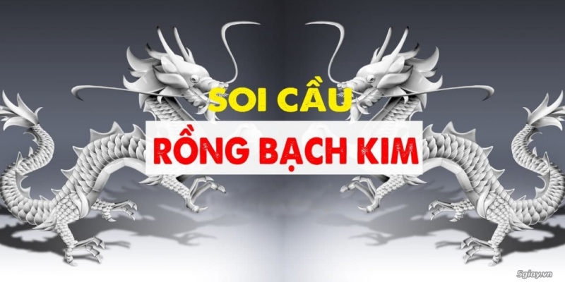 Soi cầu rồng bạch kim là gì?