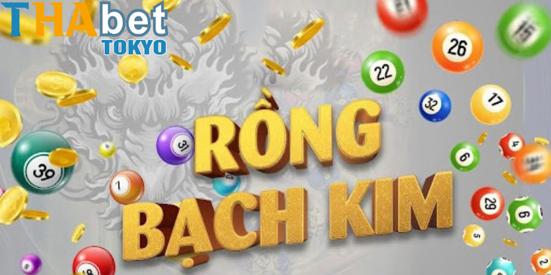 Tổng hợp cách soi cầu Rồng Bạch Kim