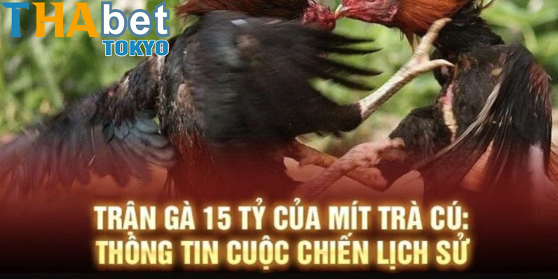 Địa điểm tổ chức trận đấu đá gà 15 tỷ